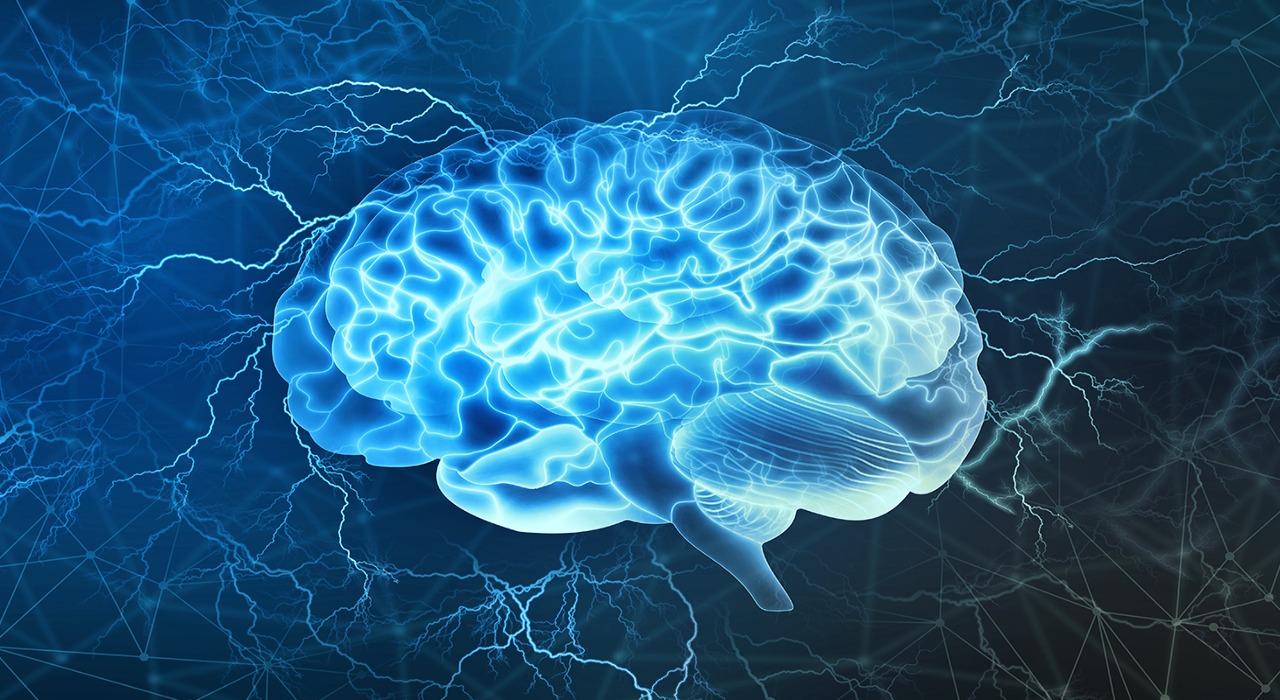 29 Fakty O Neurobiologia