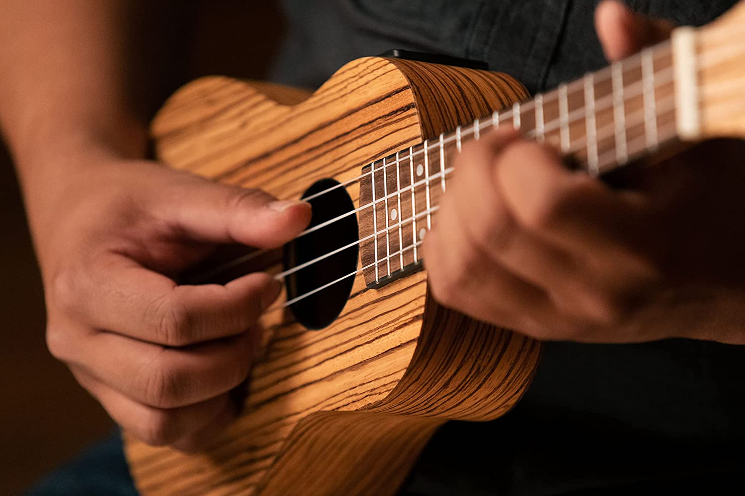 29 Fakty O Ukulele