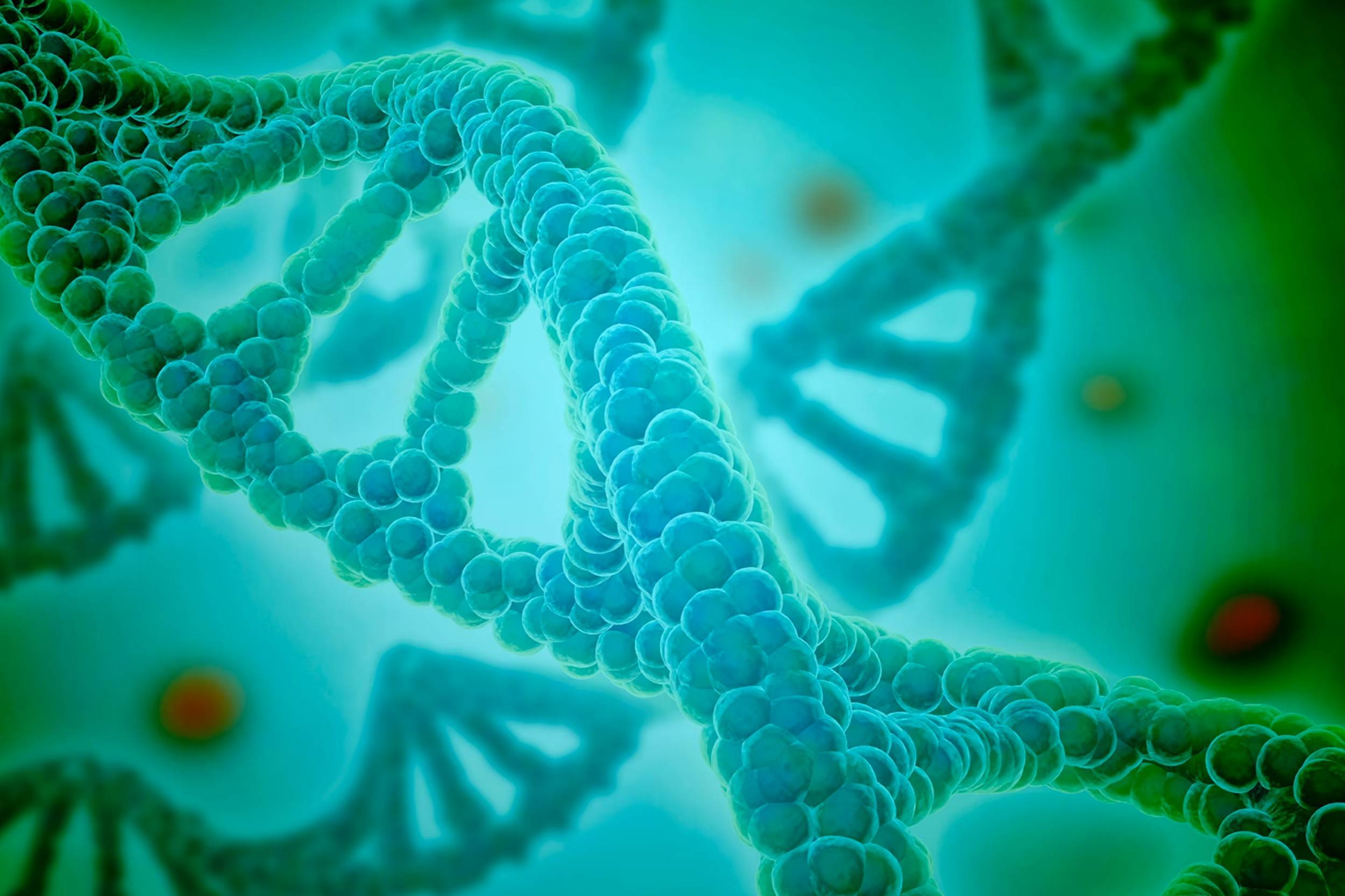 33 Fakty O DNA