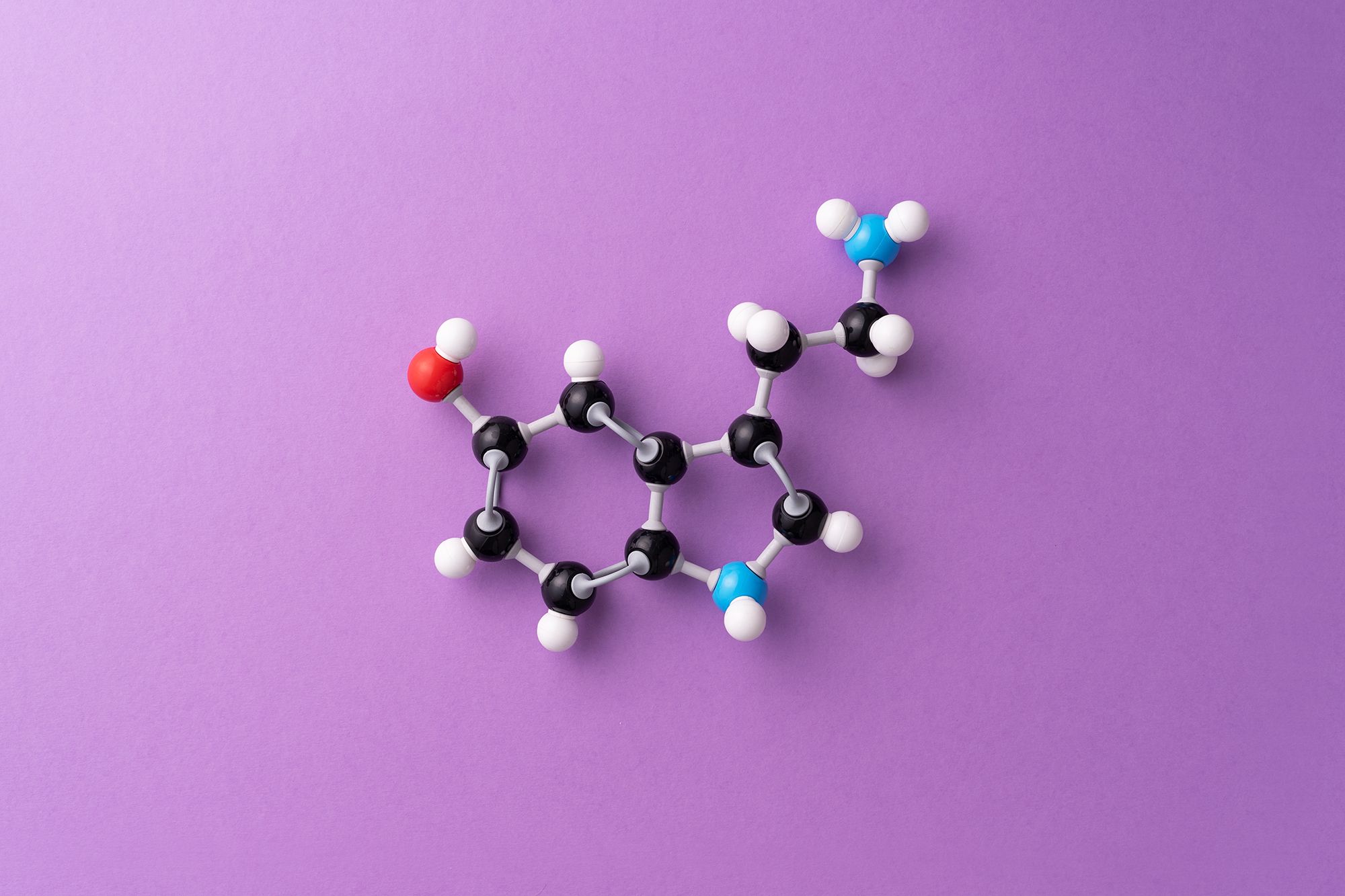 39 Fakty O Serotonina